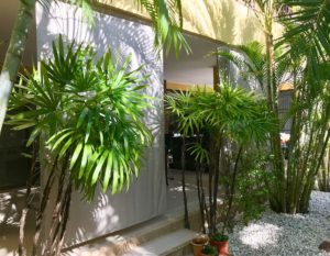 Outdoor-Vorhang SANTORINI - Ansicht von Aussen. • rideaux123.ch