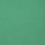 Voilage GENEVA II Vert • rideaux123.ch