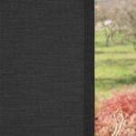 Parois japonaises CASABLANCA conclusion drote Antracite[08] • rideaux123.ch