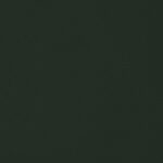 Rideau occultant DAWN 2 Vert mousse [992] Structure • rideaux123.ch